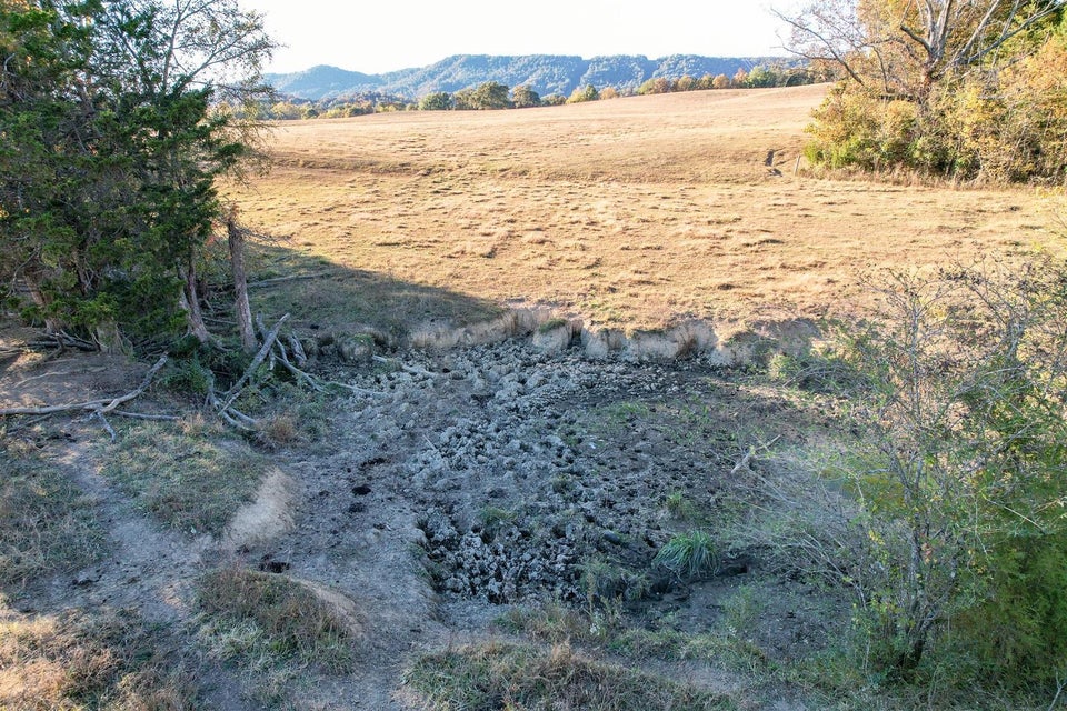 Photo #30: 72.65 Ac Horton Highway