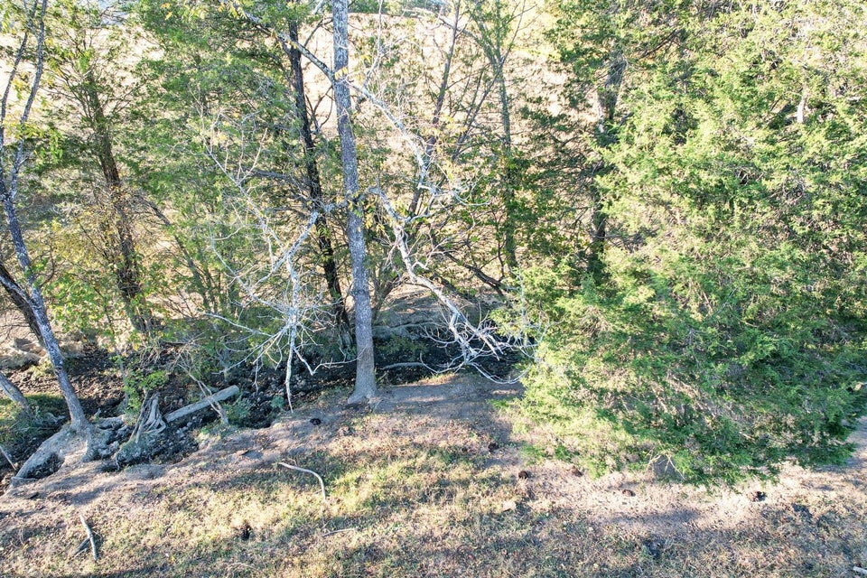 Photo #32: 72.65 Ac Horton Highway