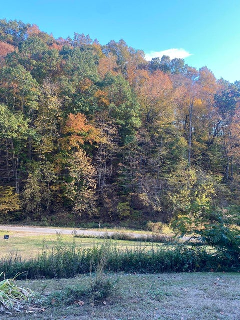 Photo #15: 465 Sandy Valley Road