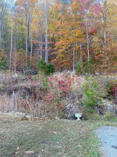 Photo #16: 465 Sandy Valley Road