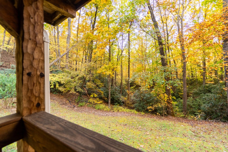 Photo #40: 1072 Lower Paint Creek Road