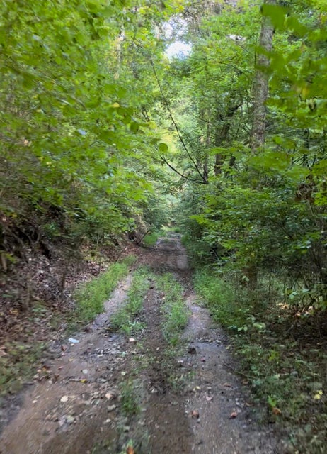 Photo #11: Tbd Mosier Rd