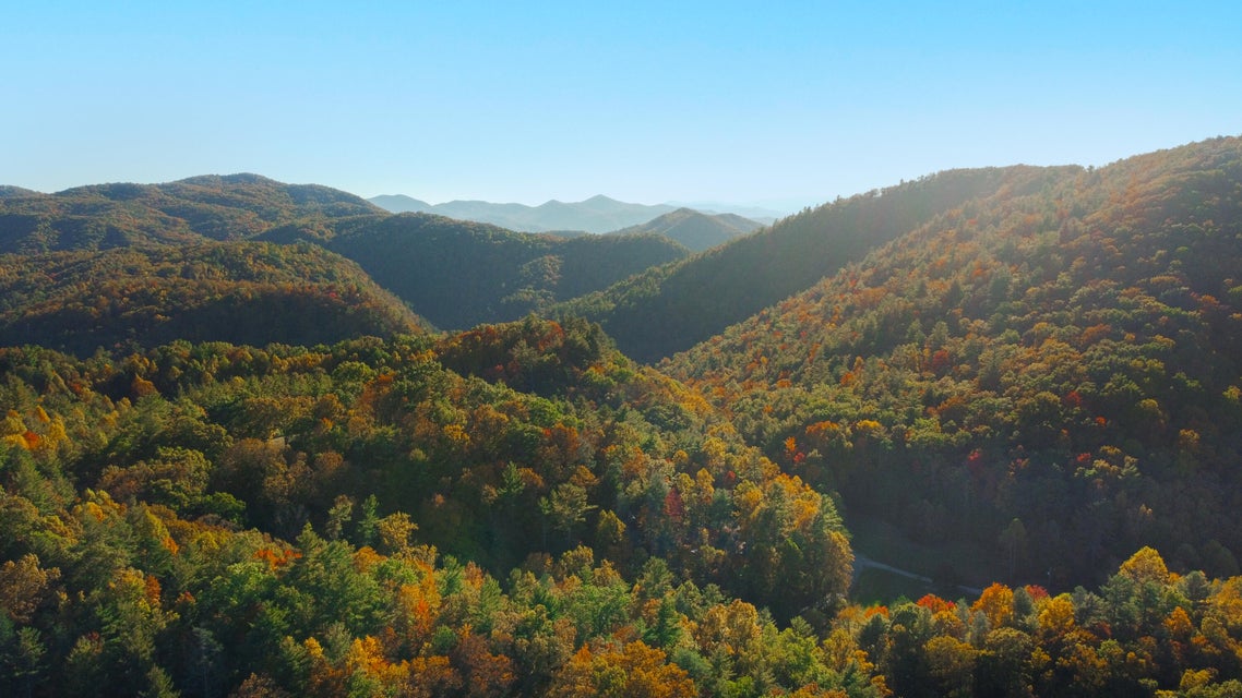 Photo #4: 1072 Lower Paint Creek Road
