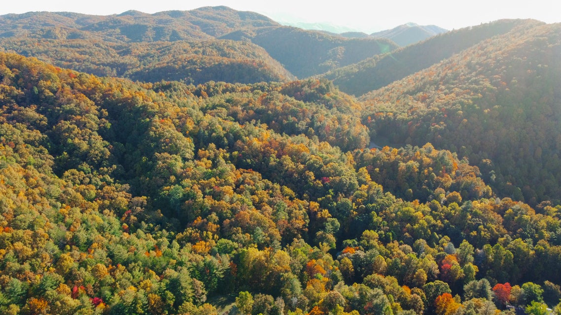 Photo #5: 1072 Lower Paint Creek Road