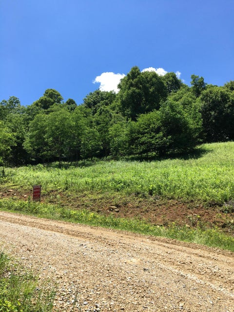 Photo #2: Tbd White Thorn Lot 24 Trail