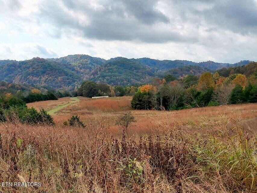 Photo #3: 6948 Tazewell Highway