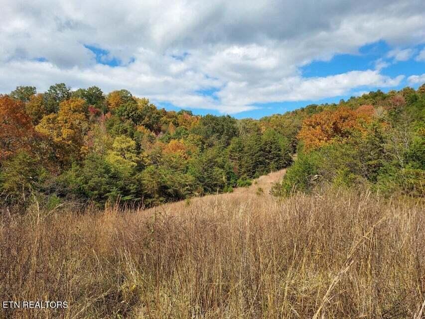 Photo #5: 6948 Tazewell Highway