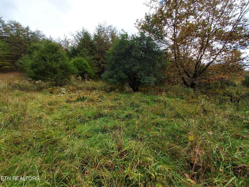 Photo #13: 6948 Tazewell Highway