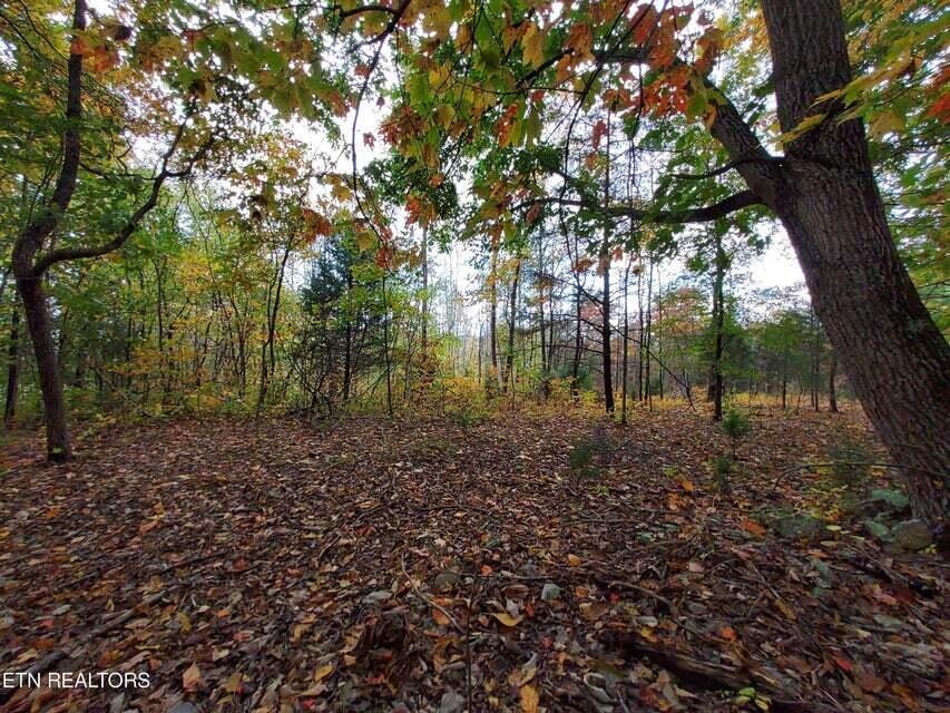 Photo #14: 6948 Tazewell Highway