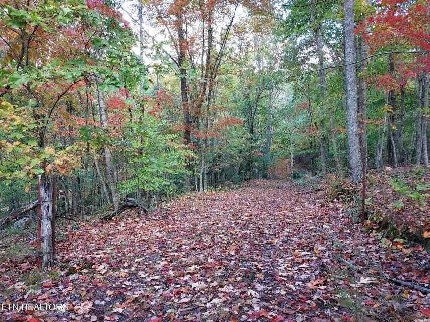 Photo #21: 6948 Tazewell Highway