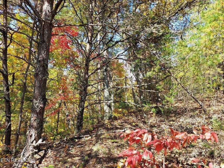 Photo #23: 6948 Tazewell Highway