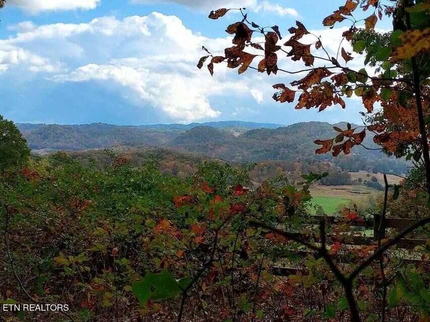 Photo #27: 6948 Tazewell Highway