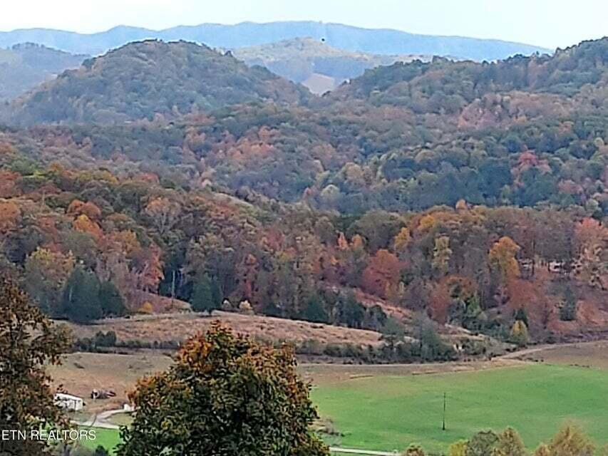 Photo #28: 6948 Tazewell Highway