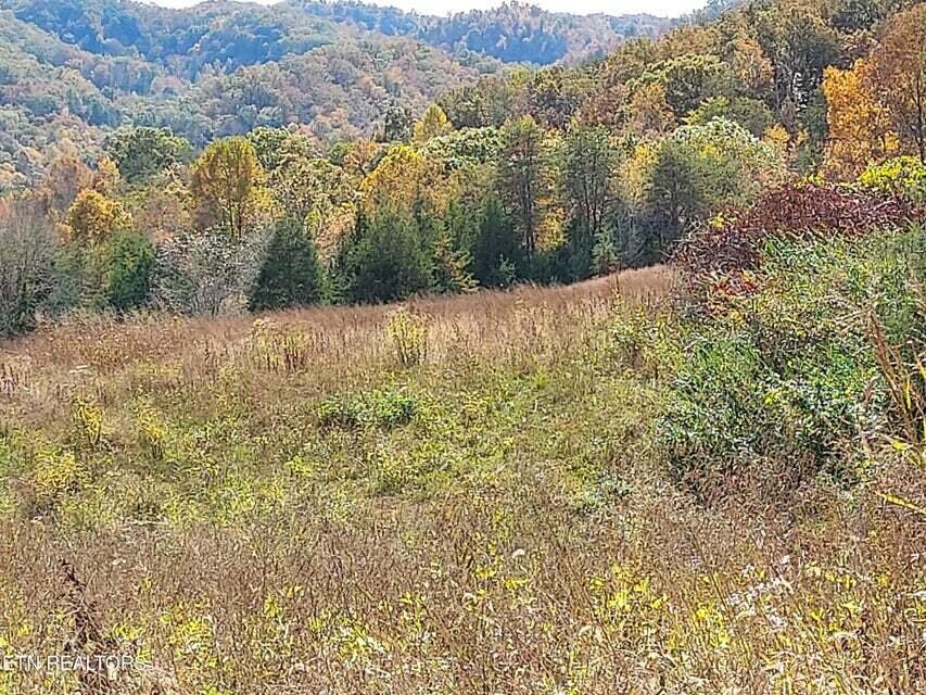 Photo #30: 6948 Tazewell Highway