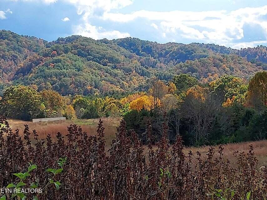 Photo #33: 6948 Tazewell Highway