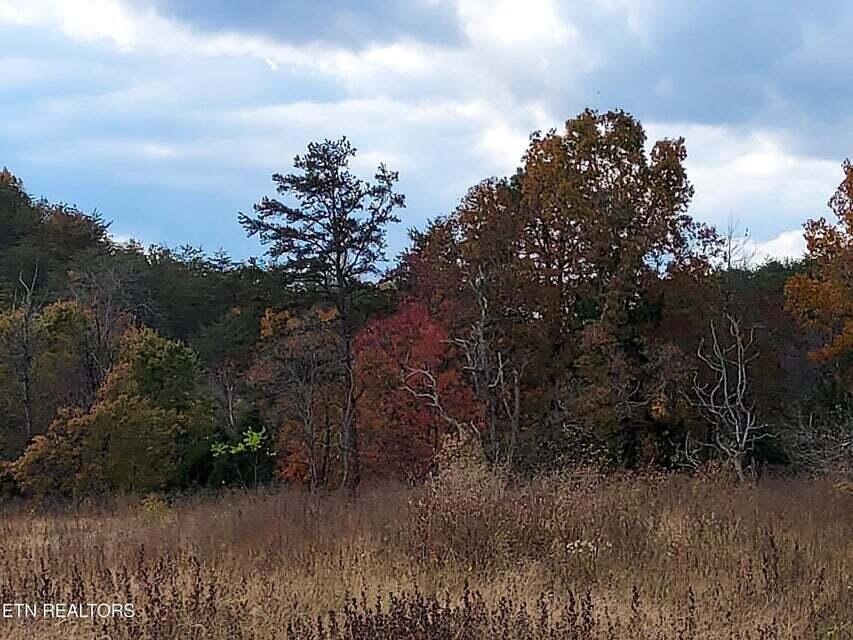 Photo #34: 6948 Tazewell Highway
