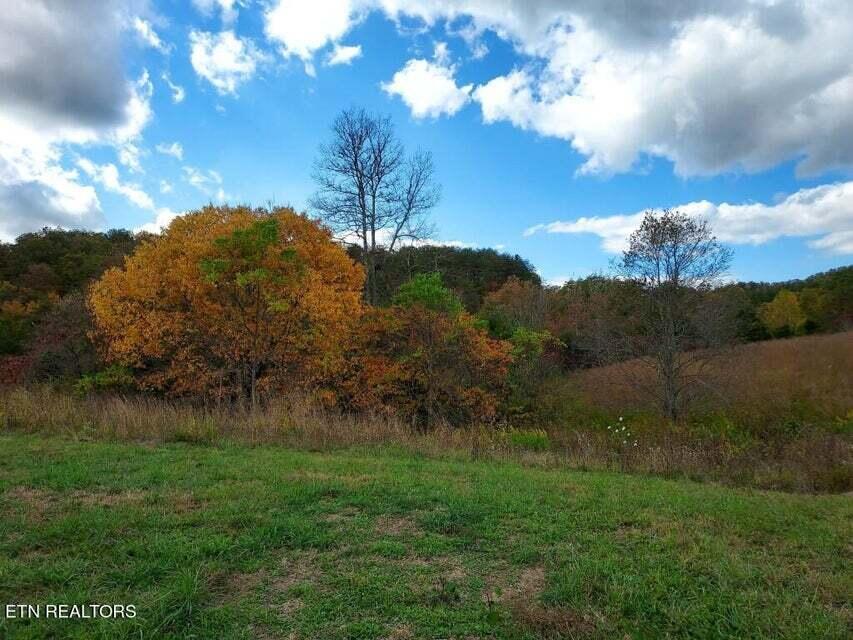 Photo #37: 6948 Tazewell Highway