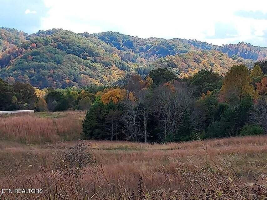 Photo #38: 6948 Tazewell Highway