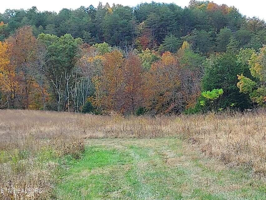 Photo #40: 6948 Tazewell Highway