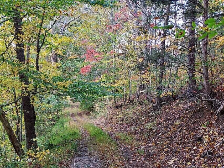 Photo #43: 6948 Tazewell Highway