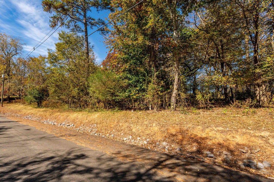 Photo #13: Lot 60 Chelaque East Way