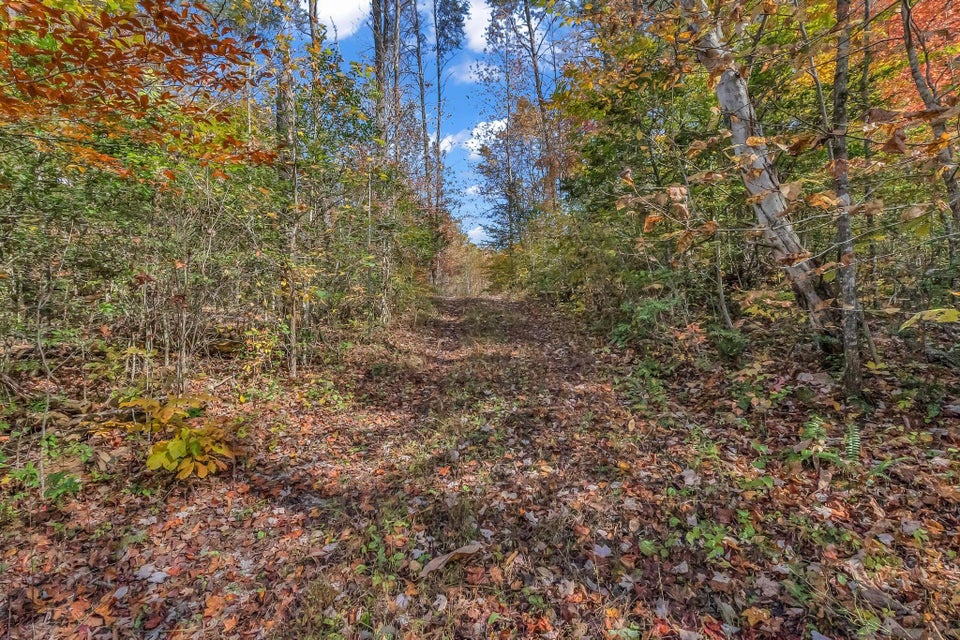 Photo #23: 2605 Lynn Flanary Road