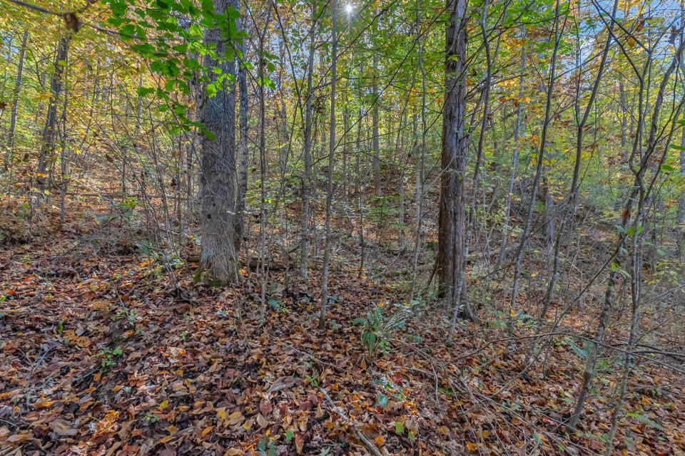 Photo #27: 2605 Lynn Flanary Road