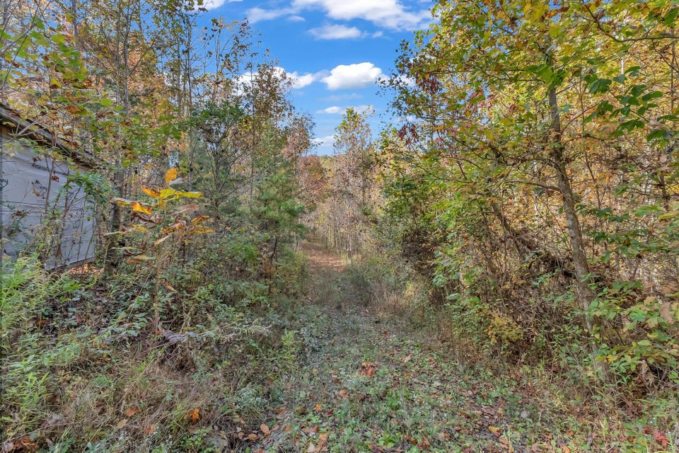 Photo #22: 2605 Lynn Flanary Road
