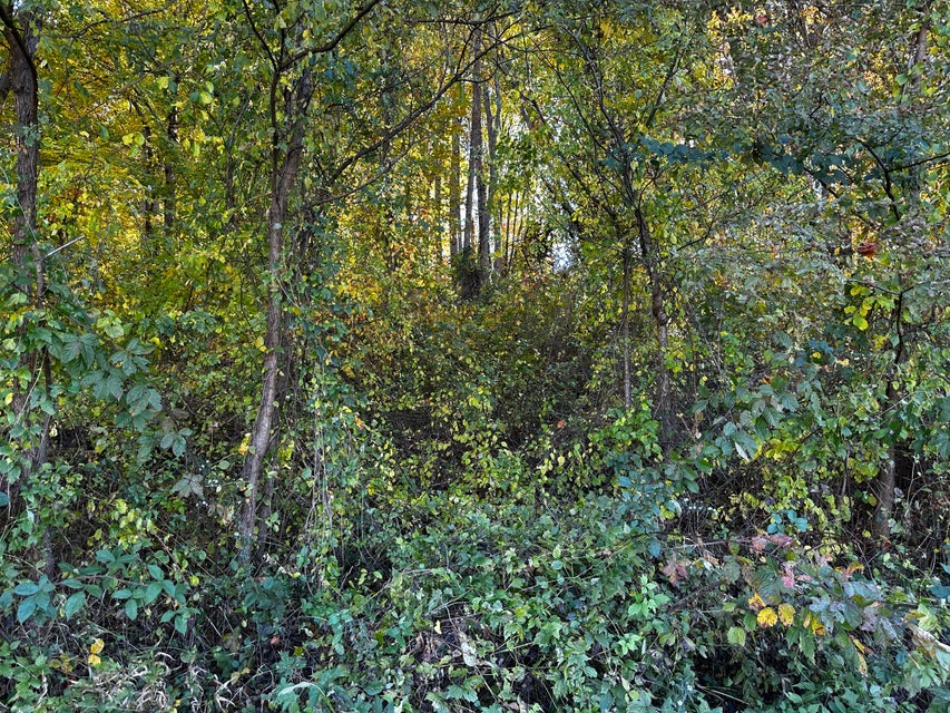 Photo #10: 12468 Devault Lane