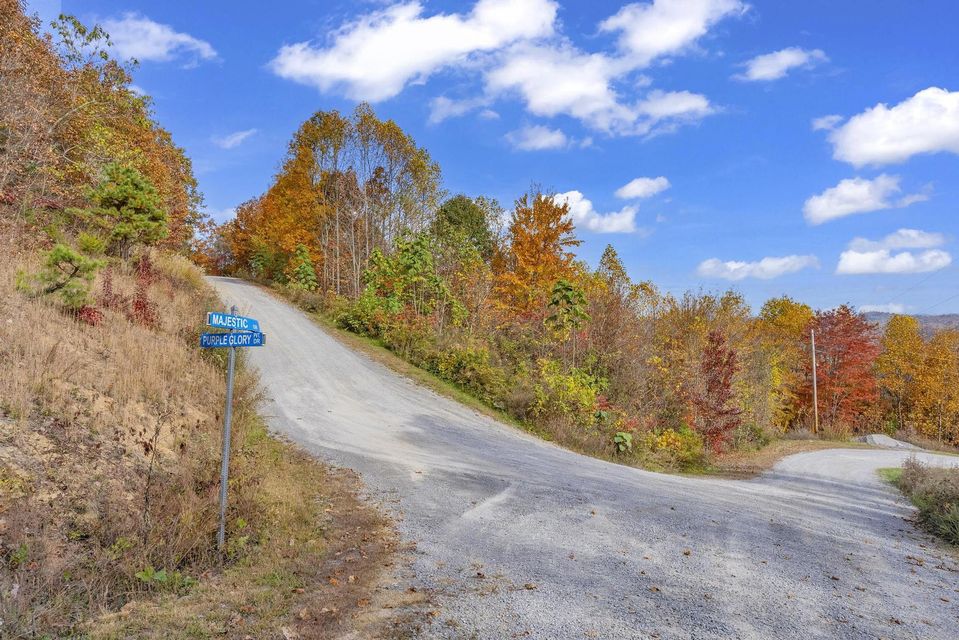 Photo #2: Tbd Parmont Lot 4 Drive