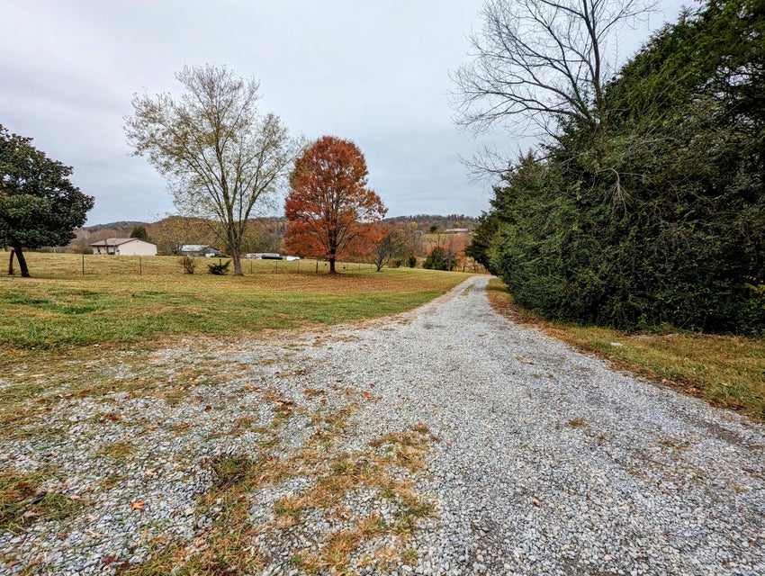 Photo #11: 121 Ward Road