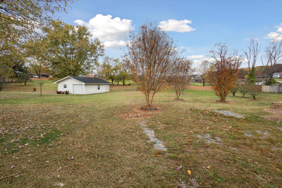 Photo #41: 329 Piney Avenue