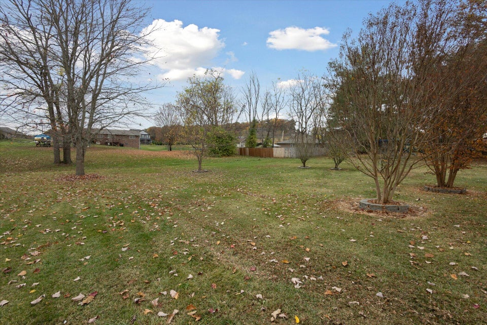 Photo #43: 329 Piney Avenue