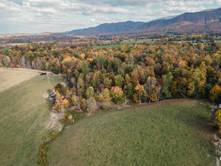 Photo #34: 3225 Greystone Road