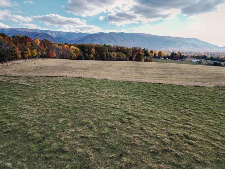 Photo #5: 3225 Greystone Road
