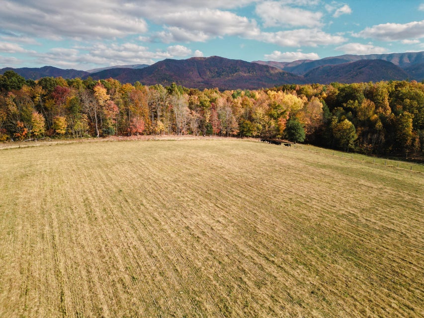 Photo #3: 3225 Greystone Road