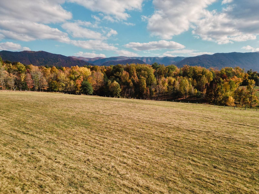 Photo #22: 3225 Greystone Road