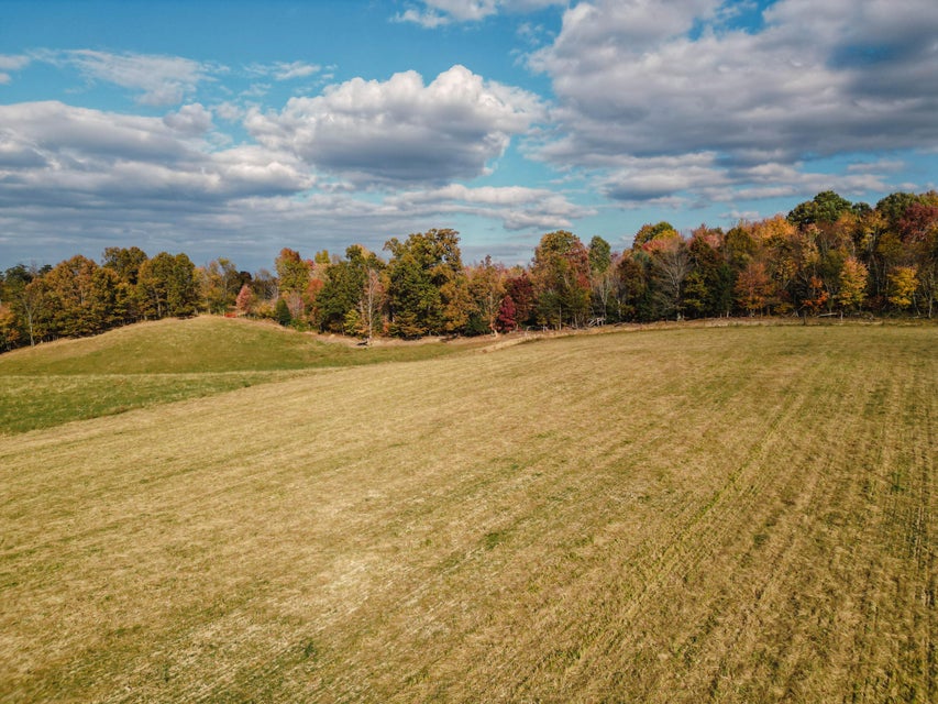 Photo #23: 3225 Greystone Road