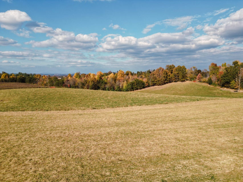 Photo #24: 3225 Greystone Road