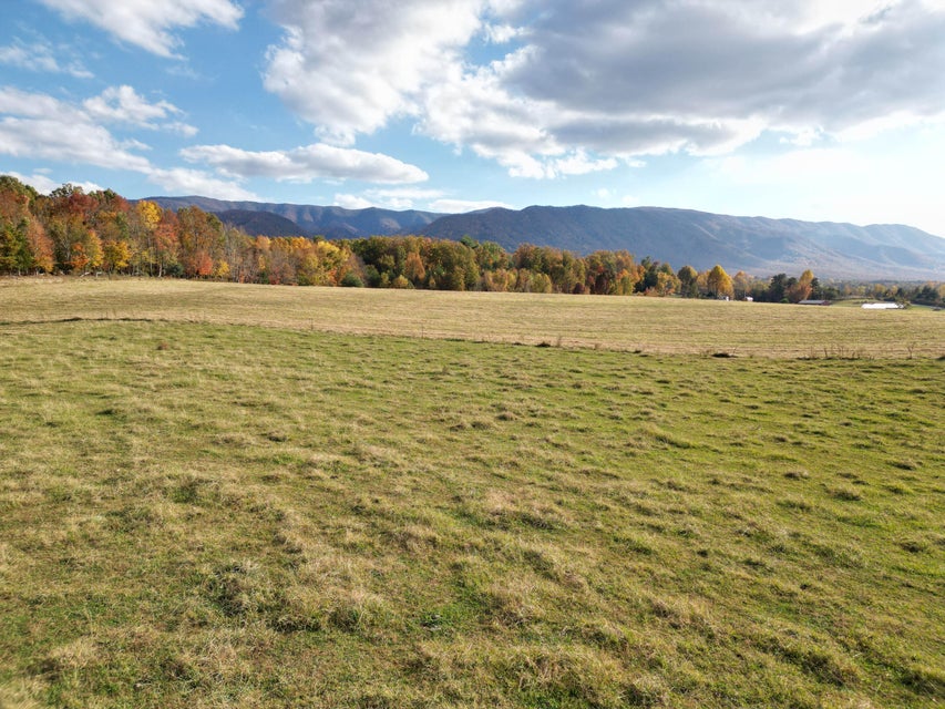 Photo #27: 3225 Greystone Road