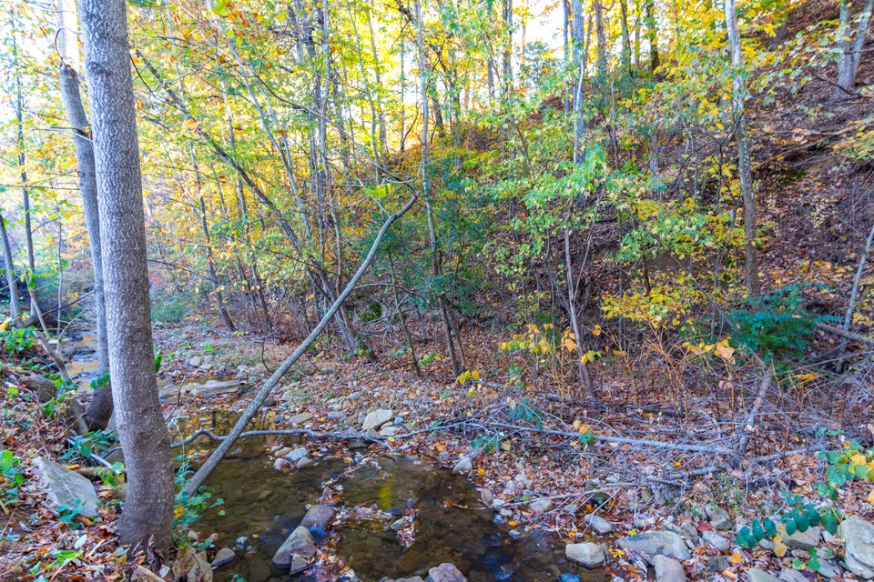 Photo #45: 432 Carson Springs Road