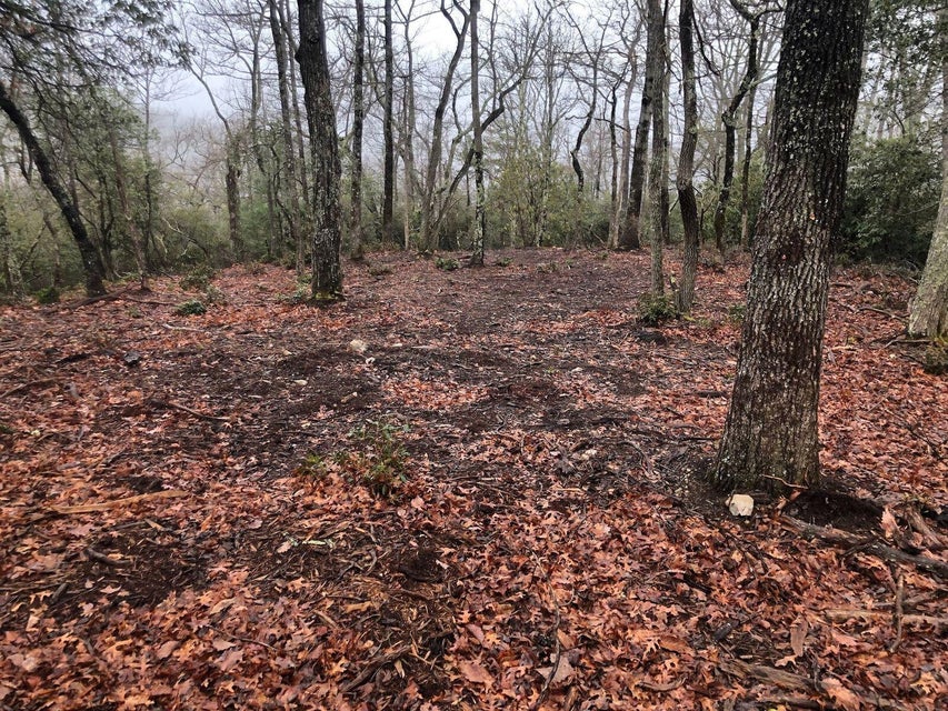 Photo #5: Tbd Powder Branch Rd