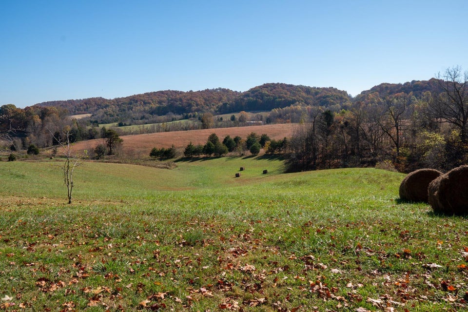 Photo #19: 5935 Old Snapps Ferry Road