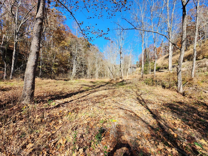 Photo #37: Tbd Carter Cave Road
