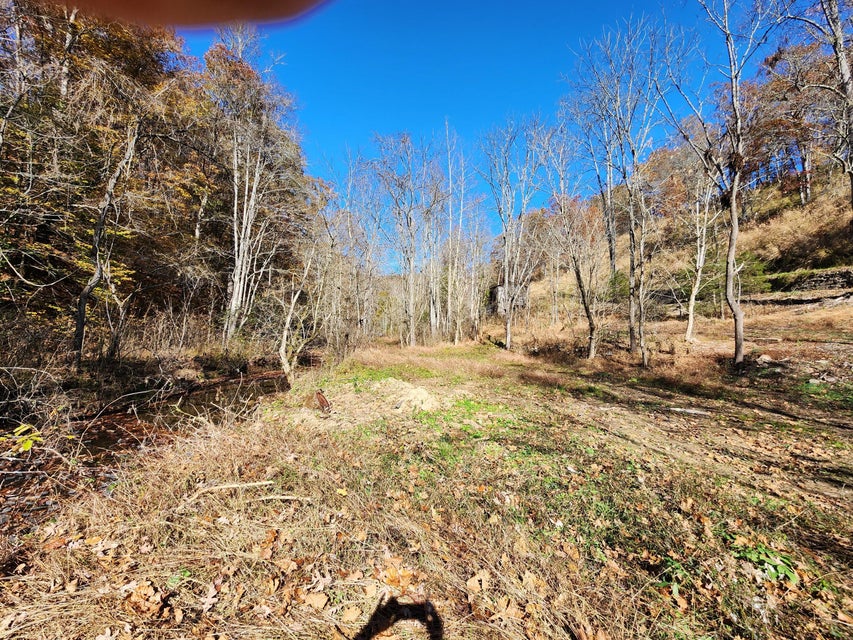 Photo #39: Tbd Carter Cave Road