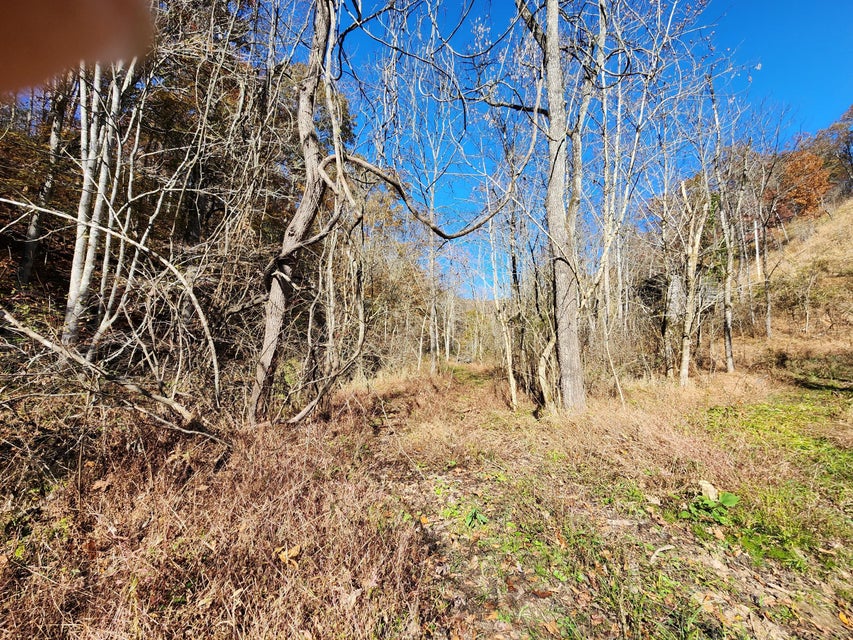 Photo #40: Tbd Carter Cave Road