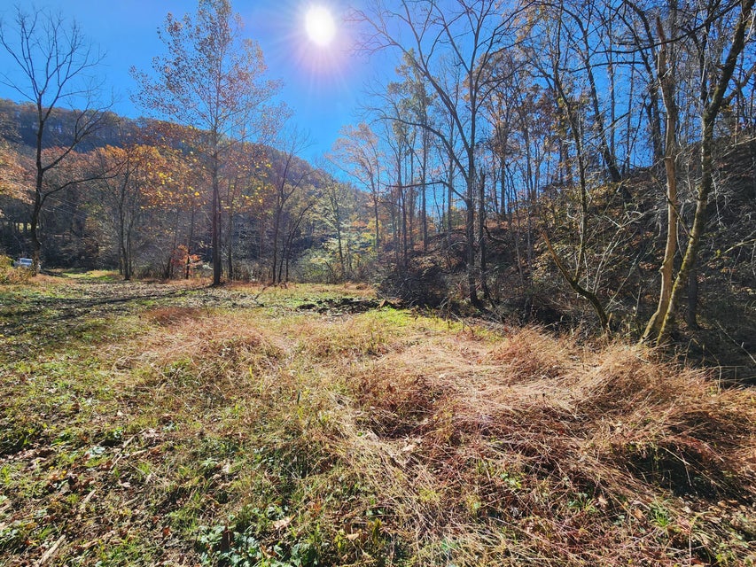 Photo #42: Tbd Carter Cave Road