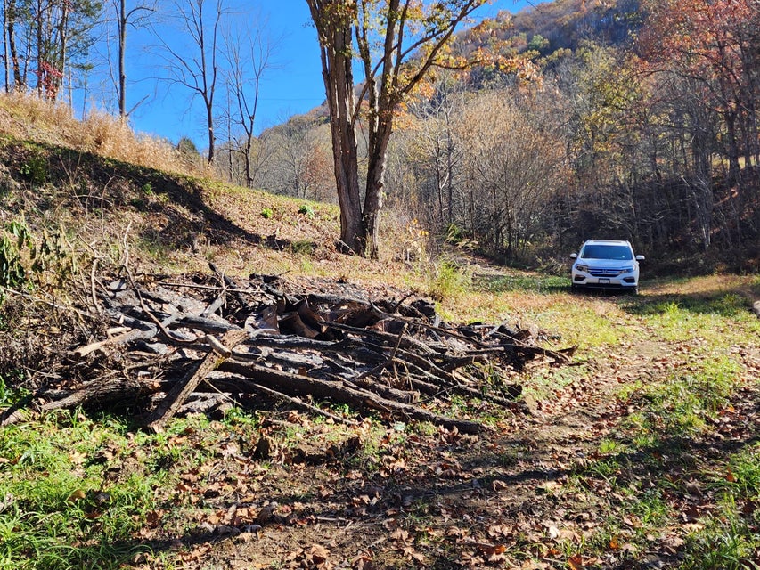 Photo #47: Tbd Carter Cave Road