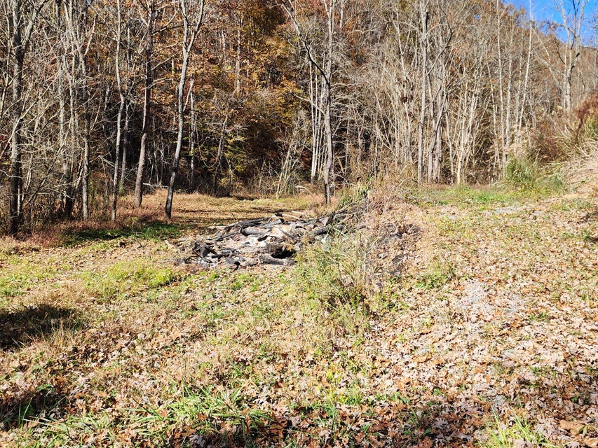 Photo #50: Tbd Carter Cave Road