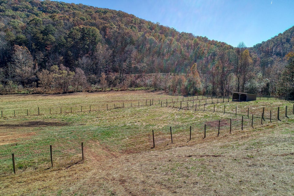 Photo #83: 1274 Tarpine Valley Road